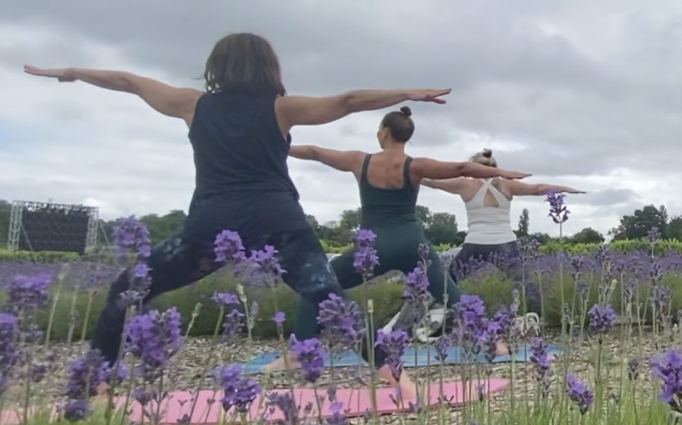 Three women, stood side by side on yoga mats, hold the Warrior II yoga pose. There are lavender plants in the foreground.