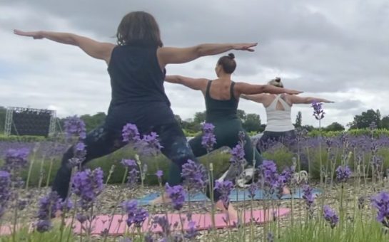 Three women, stood side by side on yoga mats, hold the Warrior II yoga pose. There are lavender plants in the foreground.