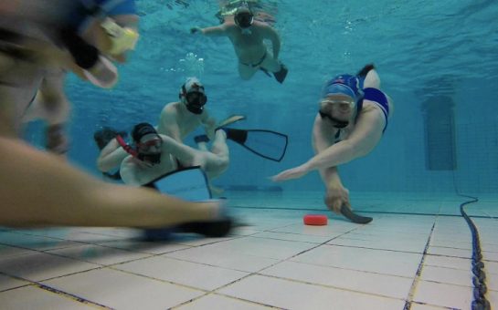 Underwater Hockey Players