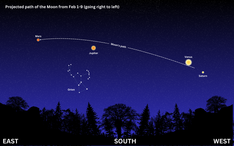 A graphic showing the projected path of the Moon in relation to the planets during Feb 1-9, 2025